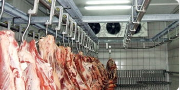 肉的营养品质与冷库温度波动有关吗？